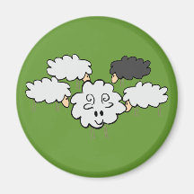 Schafe sheep magnete