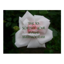 Schedule Mammogram Post Cards