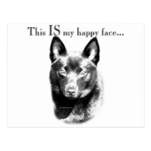 Schipperke Happy Face Postcard