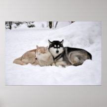 SchlafimSchnee Posterdruck