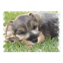 Schnauzer Invitation