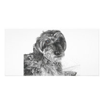 Schnell (cropped)  - Photo Card