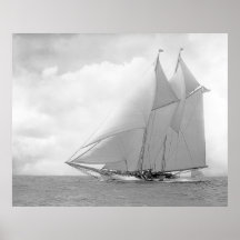Schooner Yacht America Posters