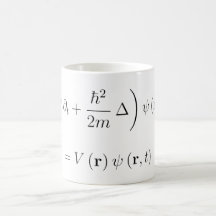 Schrodinger wave equation mug