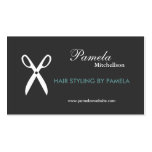 SCISSORS in GRAY/AQUA Business Card