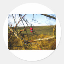 Scotland Round Sticker