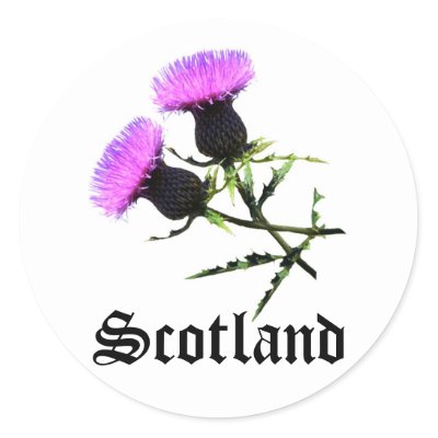 scottish thistle art