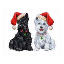 Scottie and Westie Caroling Post Cards
