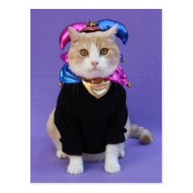 Scottish Fold Jester Postcard