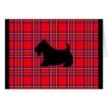 Scottish Terrier Card