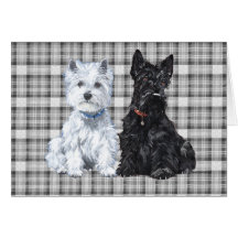 Scottish Terrier Greeting Card