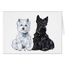 Scottish Terrier Greeting Card
