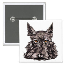 Scottish Terrier in Black Pinback Buttons