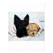 Scottish Terrier & Yorkie Best Friends Post Cards