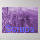 'Scraps' Cover Page Poster