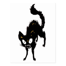 Screaming Cat Post Card