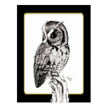 Screech Owl Postcard