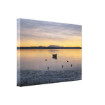 Sea Birds and Boat Canvas Prints