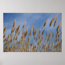 Sea Grass Print