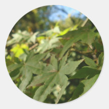 sea of leafs 2 stickers
