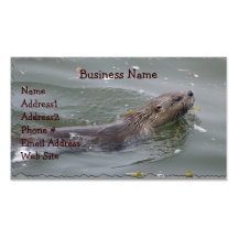 Sea Otter Business Card