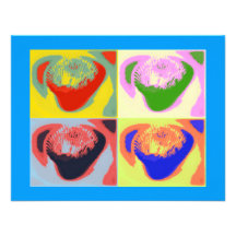 Sea Shell Items Announcement