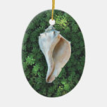 Sea shell ornament