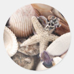 Sea Shells by the Shore Stickers