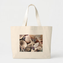 Sea Shells Canvas Bag