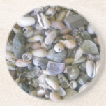 Sea Shells Coaster