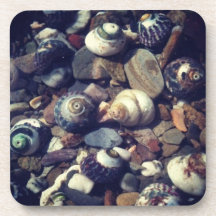 Sea Shells Coaster