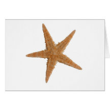 Sea star greeting card