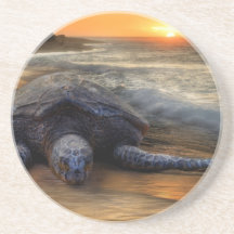 Sea Turtle at Sunset Beverage Coasters