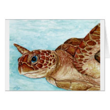 Sea Turtle Cards