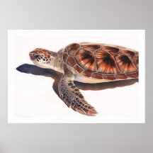 Sea Turtle Wildlife Watercolor Art Posters
