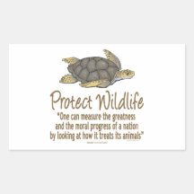 Sea Turtles Sticker
