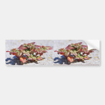 Seabeach Amaranth Bumper Stickers