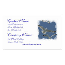 seagull-11.jpg business card templates
