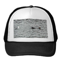 Seagull And Seal In Water Mesh Hat