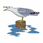 Seagull