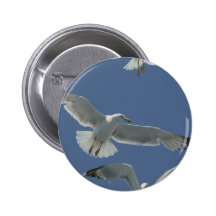 Seagull Flight  Button