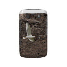 Seagull Flying Free Blackberry Case