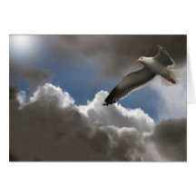 SEAGULL IN CLOUDS CARDS