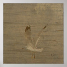 Seagull in Flight Posters