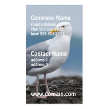 Seagull on Rock Business Card Template