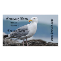 Seagull on Rock Business Cards