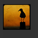 Seagull T t-shirts