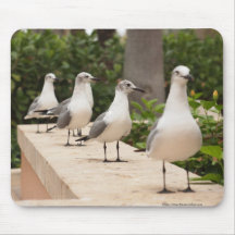 Seagulls in a Row Mouse Pad
