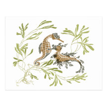 Seahorse Art Postcard