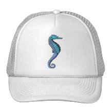 Seahorse Hat